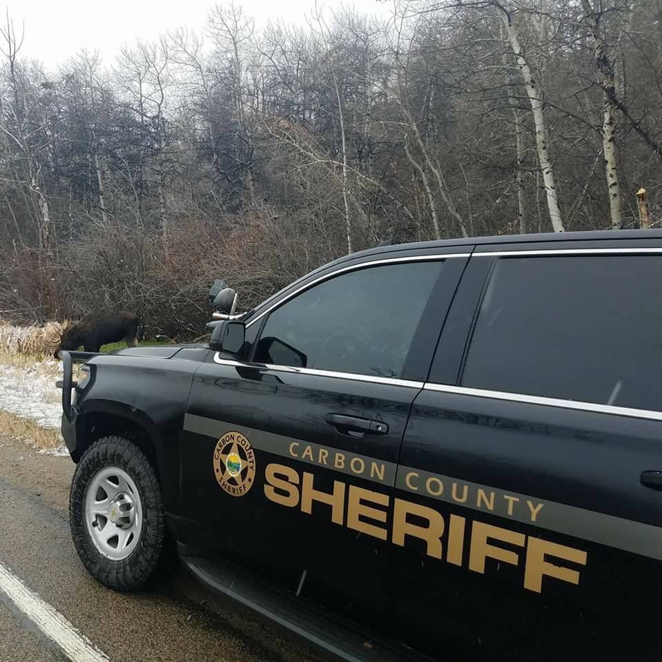 Carbon County Sheriffs Office Ccsomt 0618